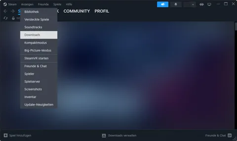 Steam Downloads-Ansicht mit Fortschrittsbalken