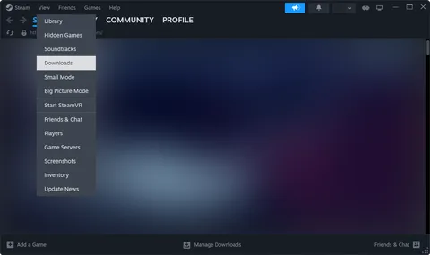 Steam Downloads view with a progress bar