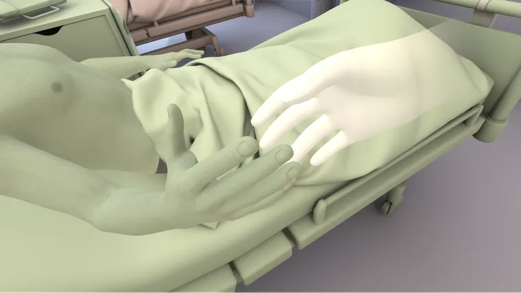 Visualisation of the state of the hands, coloured in the colour of the most recently touched zone